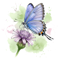 A beautiful blue butterfly rests gracefully on a delicate purple flower, enhanced by watercolor accents against a transparent backdrop, transparent background png