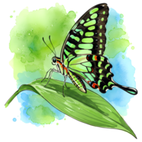 A watercolor painting features a vibrant green butterfly perched delicately on a green leaf with a splash of blues and greens. png