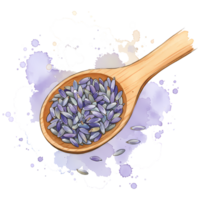 Captivating watercolor style rendering showcases a wooden spoon filled with fragrant lavender buds against a dark backdrop, transparent background png