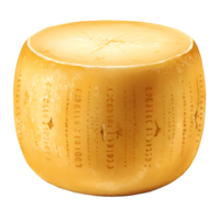 A wheel of parmesan cheese with rind markings sits against a transparent background creating a delicious and savory food ingredient element. png