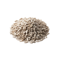 A closeup of a pile of shelled sunflower seeds, highlighting their natural, healthy, and nutritious qualities isolated on transparent background png