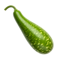 A fresh green bottle gourd with light speckles is isolated on a transparent background png