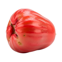A vibrant closeup of a ripe red rose apple, showcasing its tropical freshness and sweet, juicy appeal isolated on transparent background png