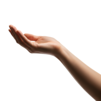 A womans hand is open and reaching up, isolated on transparent background png