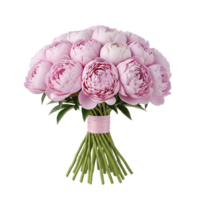 Beautiful pink peony bouquet isolated on transparent background png