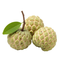 Three custard apples are isolated on transparent background, showcasing their unique textured skin and vibrant green color png