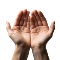 Two open hands with cupped palms reach upwards against a transparent background, conveying a sense of offering, receiving, or protection png