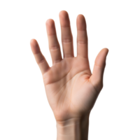 A closeup of a human hand with fingers extended, isolated on transparent background png