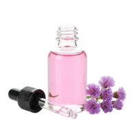 A bottle of pink essential oil with a dropper and lavender flowers isolated on transparent background png