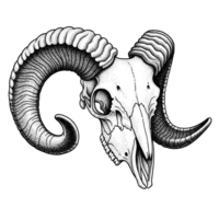 Detailed Stippled Ram Skull with Large Curving Horns Black and White Illustration isolated on a transparent background png
