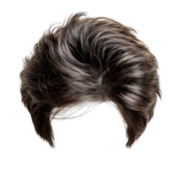 Stylish dark brown wig designed for versatility in various fashion applications png