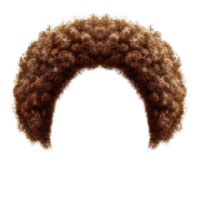 Curly brown hairpiece with voluminous curls, perfect for costumes and theatrical performances png
