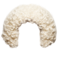 Curly white wig designed for theatrical performances and historical reenactments png