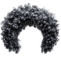 Curly black and gray hairpiece isolated on a white background ideal for costumes or theatrical performances png