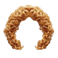 Curly blonde hairstyle with voluminous curls set against a plain white background for distinct styling options png