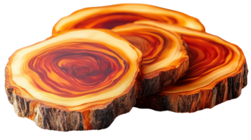Unique slices of polished wood showcasing natural patterns and colors ideal for decor and craft projects png
