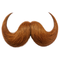 Unique brown mustache with exaggerated curls for playful style or costume use png