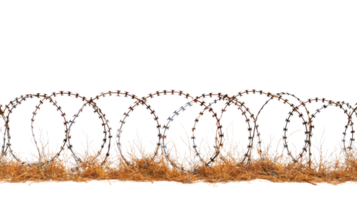 Barbed wire fence surrounded by dry grass on a white background png