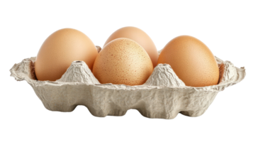 Fresh brown eggs nestled in a cardboard carton ready for cooking and baking activities png