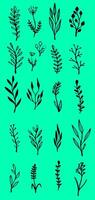 Set of blades of grass vector