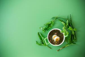 Ukrainian green borscht. Appetizing spring sorrel borscht isolated on a green background . photo