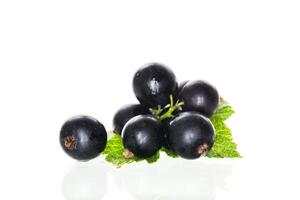 some blackcurrant berries isolated on white background photo