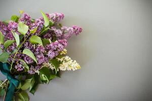 Fresh bouquet of lilacs with white and purple flowers isolated on gray photo