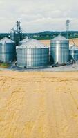 A bird's-eye view of modern granaries in the middle of a ripe golden wheat field. Bunkers for grain in the middle of a wheat field. Metal silos video