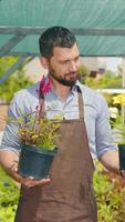 A man examines decorative plants and flowers. Gardener with pots in hands. video