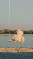 Loneliness and loneliness concept. A lonely teddy bear is riding on a swing. Two swings, on one of them sits a teddy bear against the background of a lake. video