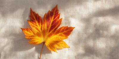 Autumn serenity. Single orange maple leaf resting on soft fabric photo
