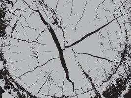 Detailed black and white silhouette of a cracked tree stump showing growth rings and texture vector