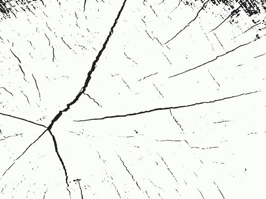Abstract black and white grunge texture with organic crack patterns and speckled details silhouette