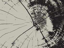 Abstract representation of a tree ring pattern with a stark black and light gray silhouette contrast vector