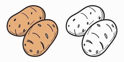 Two brown potatoes and monochrome outline food illustration vector