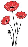Red poppies with black stems and buds floral botanical vector
