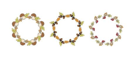 Set round frame, autumn banner. Wreath with oak leaves, acorns, mushrooms, rowan leaf, berries. Leaf fall. Hand drawn, doodle, drawing. Natural botanical background, postcard design, harvest festival. vector