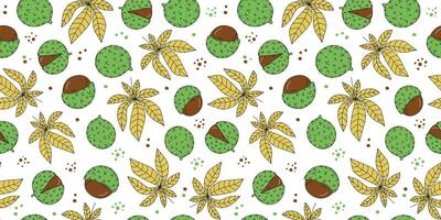 Pattern seamless chestnut, leaves. Chestnut fruit. Drawings, doodle. Hand drawn. Autumn leaf. Botanical, nature background, wallpaper. vector