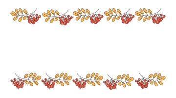 Autumn leaves, berries. Frame, border with place for text. Autumn, rowan branch. Botanical illustration of nature. Leaf fall. White isolated background. Food vector