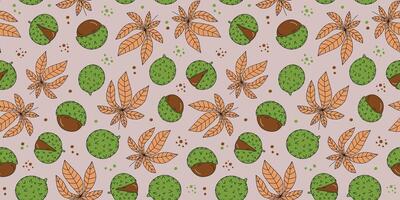 Pattern chestnut, leaves. Chestnut fruit. Drawings, doodle. Hand drawn. Autumn leaf. Botanical, nature seamless background, wallpaper. vector