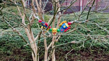 Colorful toys nestled in tree branches showcase delightful creativity for all to enjoy and appreciate photo