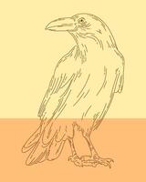 Crow raven outline clip art bird illustration element isolated editable vector