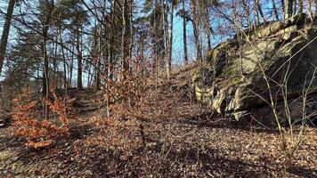 A stunning view of a towering rock formation, surrounded by lush trees and dry leaves under a clear blue sky photo