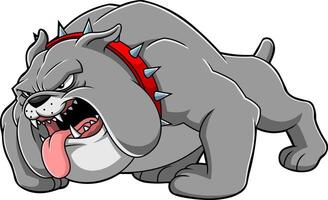 Fierce Gray Bulldog Crawling Low With Aggressive Face And Sharp Teeth vector
