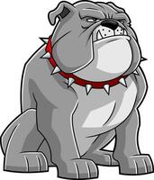 Grumpy Gray Bulldog Illustration With Bold Chest Muscles And Serious Face vector