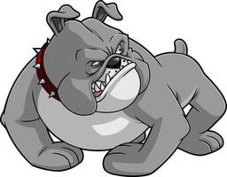 Fierce Bulldog Mascot Snarling with Spiked Collar vector
