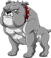 Standing Bulldog Illustration With Red Spiked Collar And Proud Expression vector