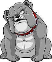 Sitting Bulldog Illustration With Angry Face Red Spiked Collar And Wrinkles vector