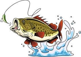 Jumping Bass Fish Illustration With Red Fins Splash And Realistic Lure vector