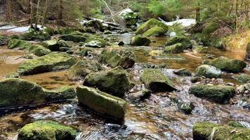 A peaceful stream flows through a vibrant forest with moss-covered rocks and gentle movement of water. photo